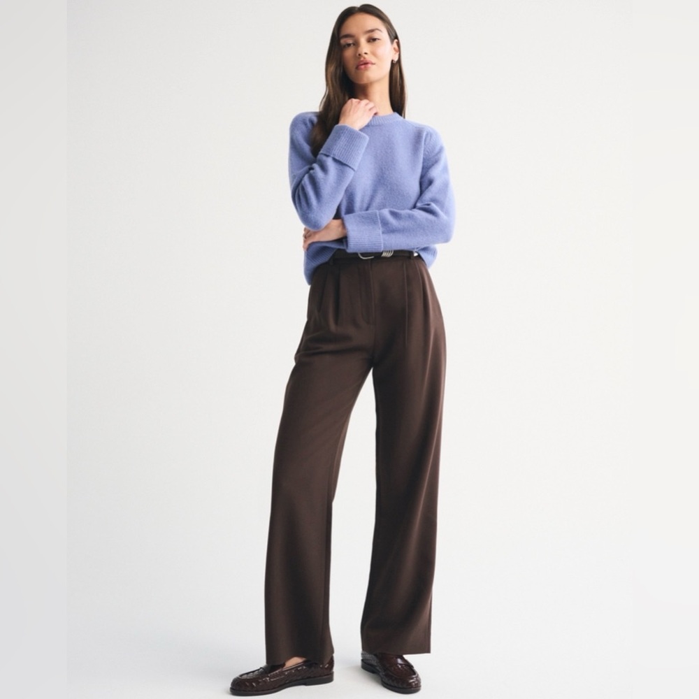 Abercrombie & Fitch Sloane Tailored Wide-Leg High-Rise Pants in Dark Brown 26R